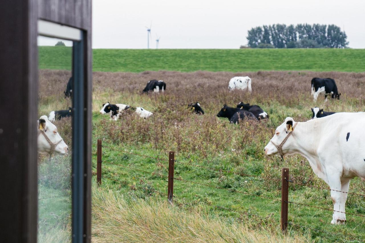 Tiny House Nature 6 Zur Kuhweide - Green Tiny Village Harlesiel Carolinensiel Luaran gambar