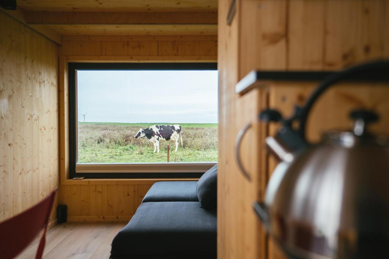 Tiny House Nature 6 Zur Kuhweide - Green Tiny Village Harlesiel Carolinensiel Luaran gambar